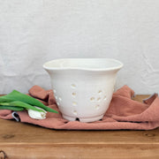 Berry Bowl - White