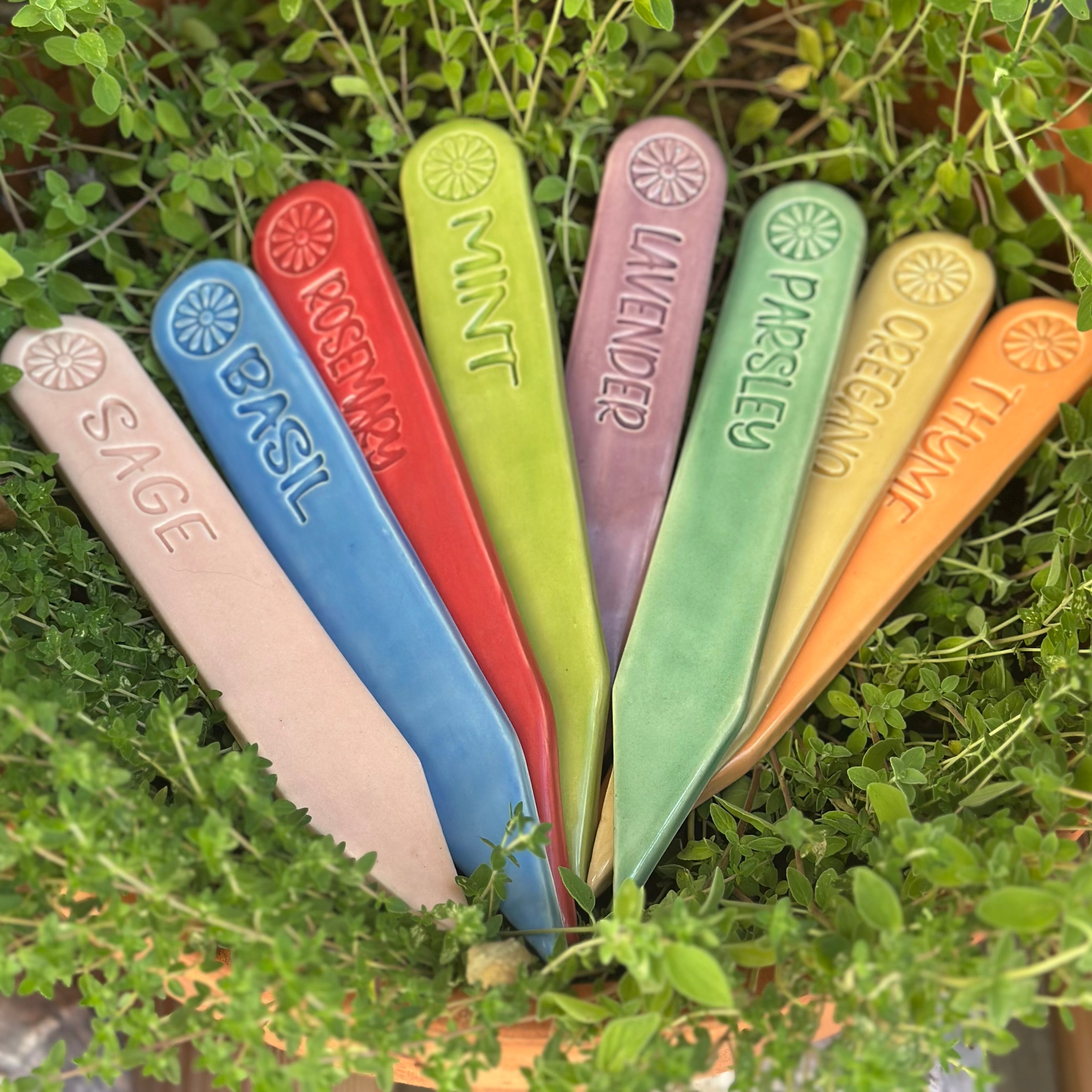 Garden Stakes - Set of 8: Herbs, Colorful