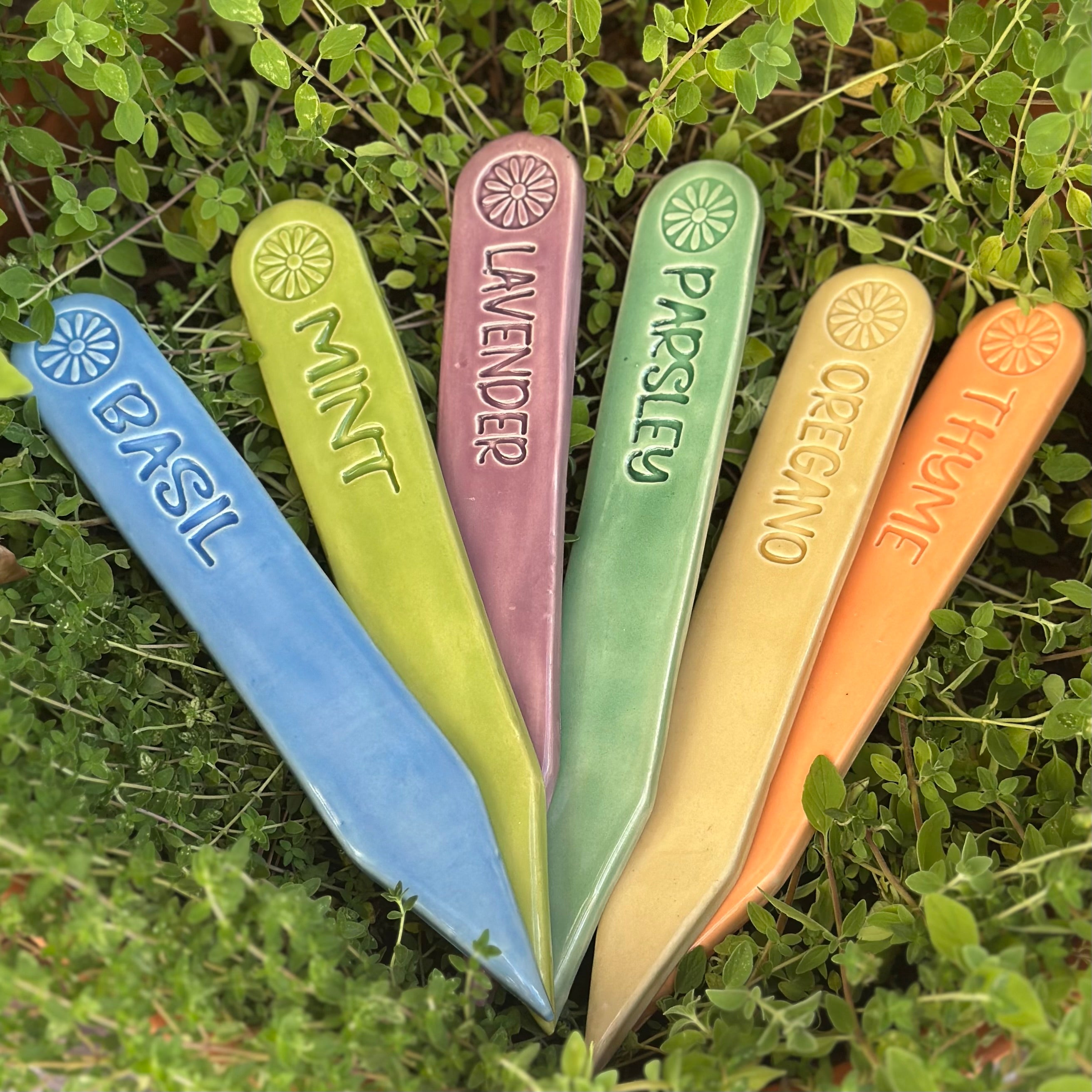 Garden Stakes - Set of 6: Herbs, Colorful