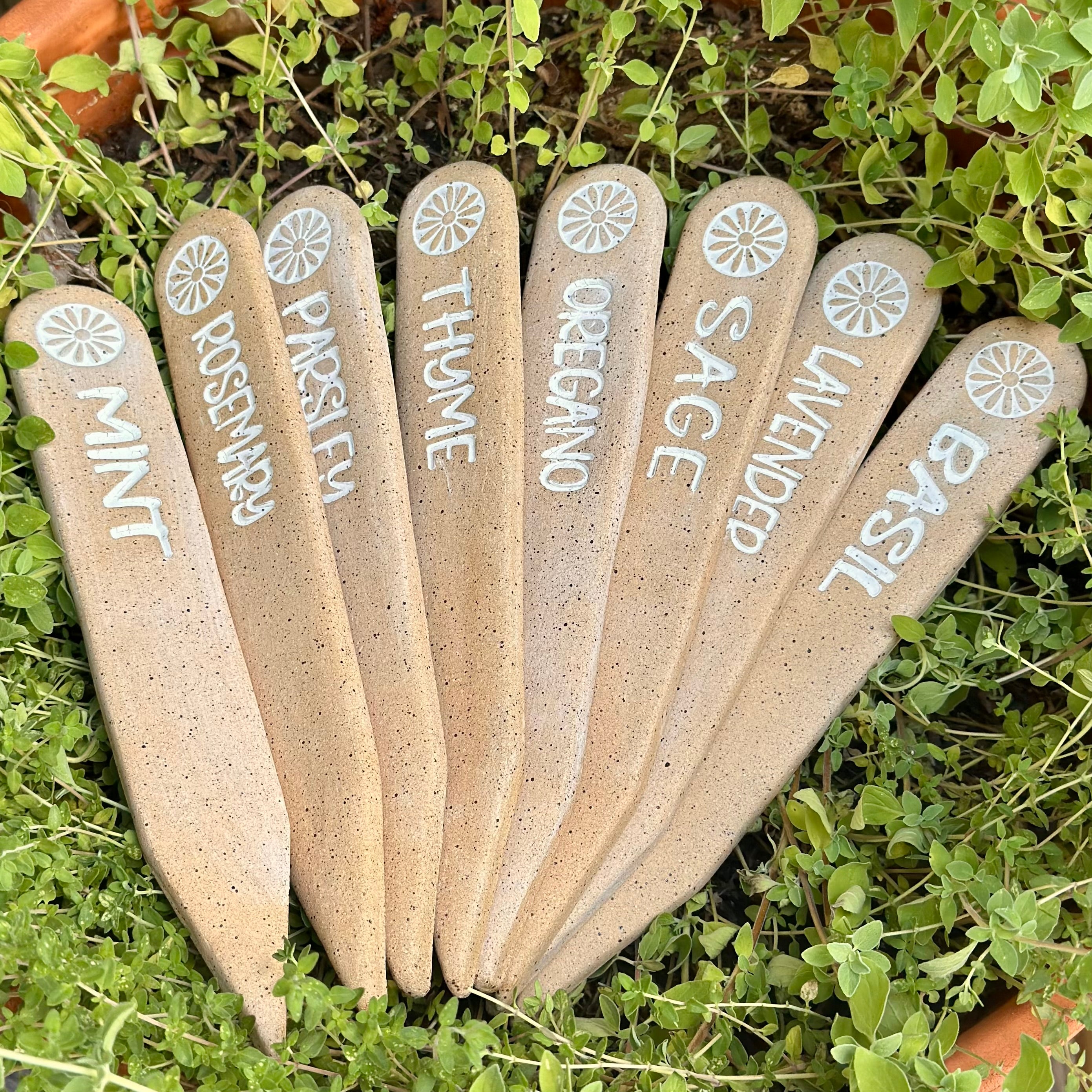 Garden Stakes - Set of 8: Herbs, Natural