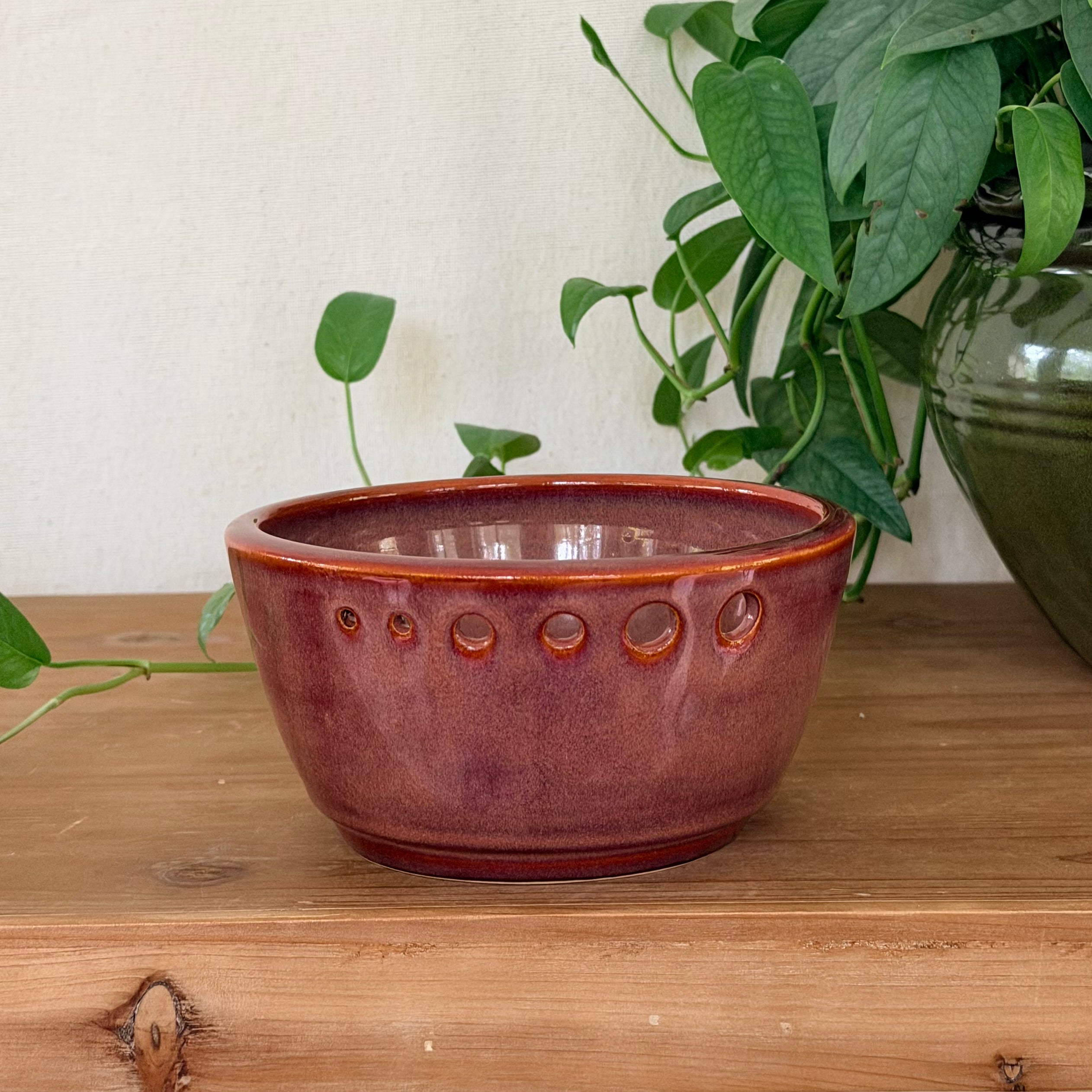 Herb Stripper / Garlic Grater Bowl - Speckled Plum