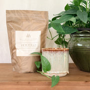 Heart Warmers Natural Candle and Rooted Wax Refill Kit BUNDLE