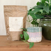 Heart Warmers Coastal Dawn Candle and Rooted Wax Refill Kit BUNDLE