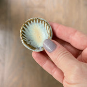 Worry Stone - Shell - Sea Foam